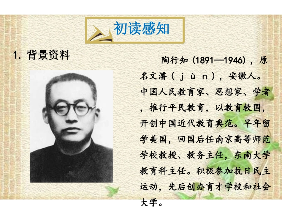 19放飞蜻蜓_第3页