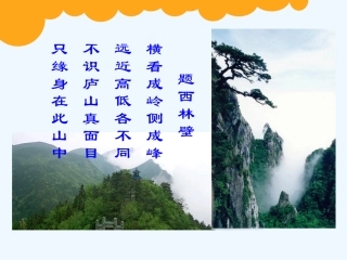 小学数学北师大2011课标版四年级《看一看》教学课件