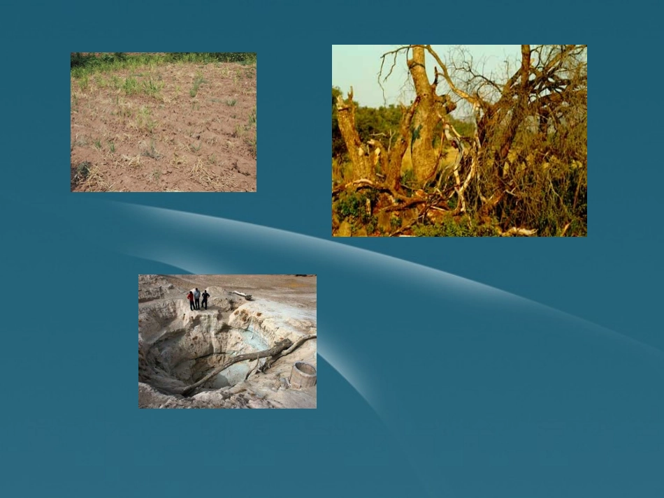 七年级语文上册-第23课《七颗钻石》课件-苏教版_第3页