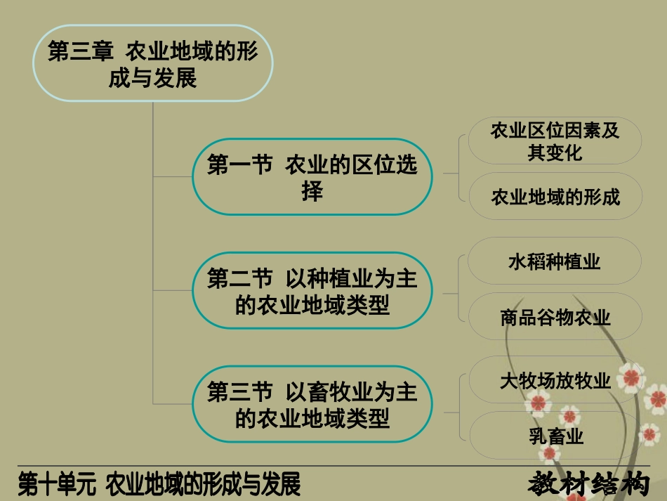 高三地理复习-人文地理农业地域的形成与发展课件_第2页