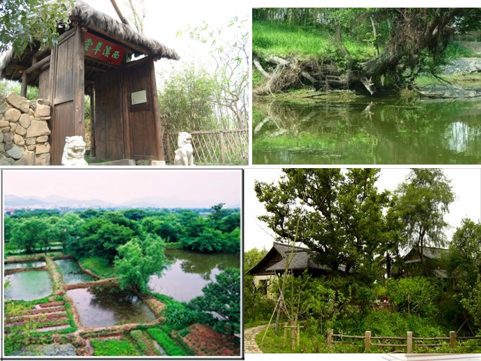 浙江省义乌市高三地理《22湿地资源的开发与保护》复习课件_第2页