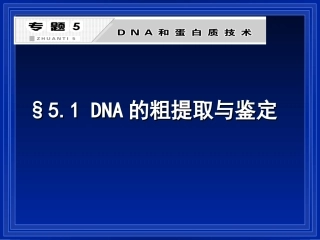 5.1-DNA的粗提取与鉴定