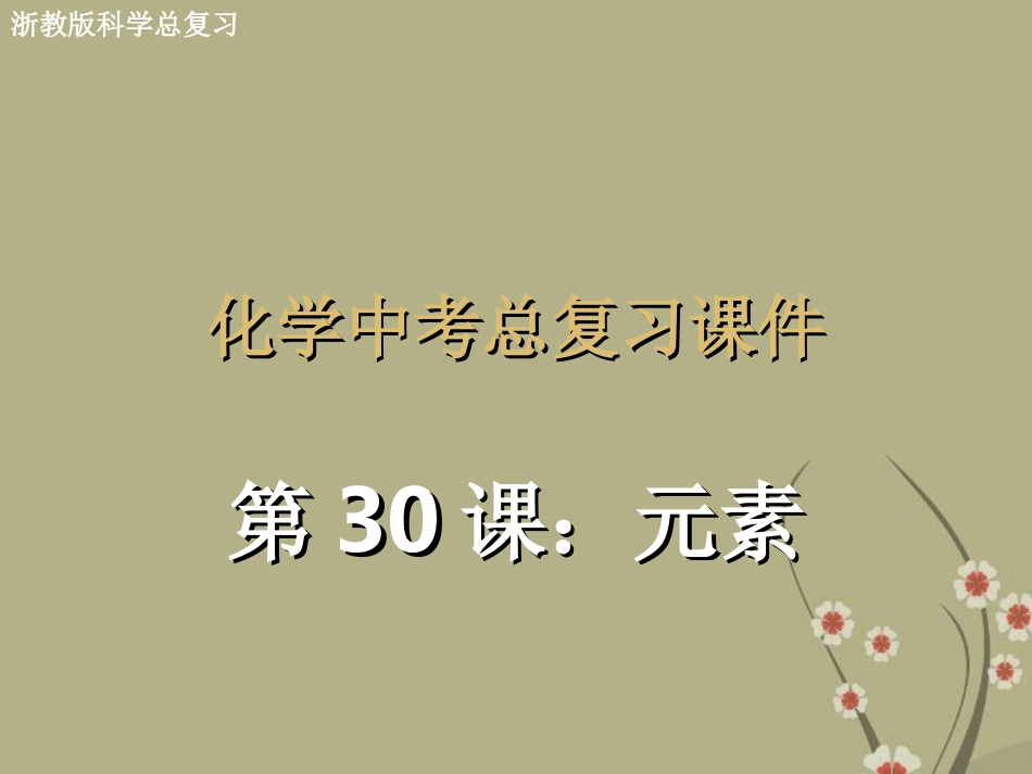 浙江省慈吉中学九年级科学-第31课《元素》课件-浙教版_第1页