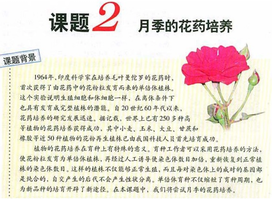 课题2-月季的花药培养-(2)_第1页