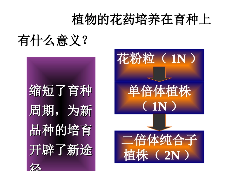 课题2-月季的花药培养-(2)_第2页