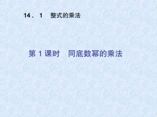14.1整式的乘法