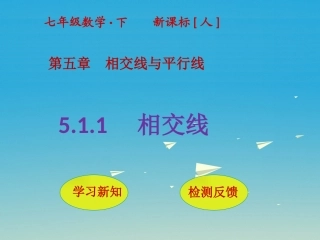 5.1.1-相交线-(3)