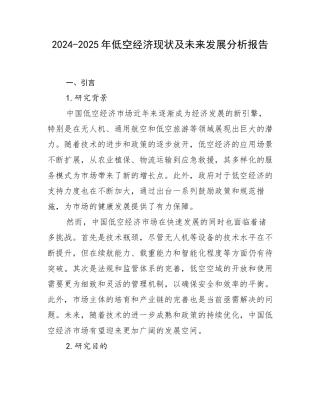 2024-2025年低空经济现状及未来发展分析报告