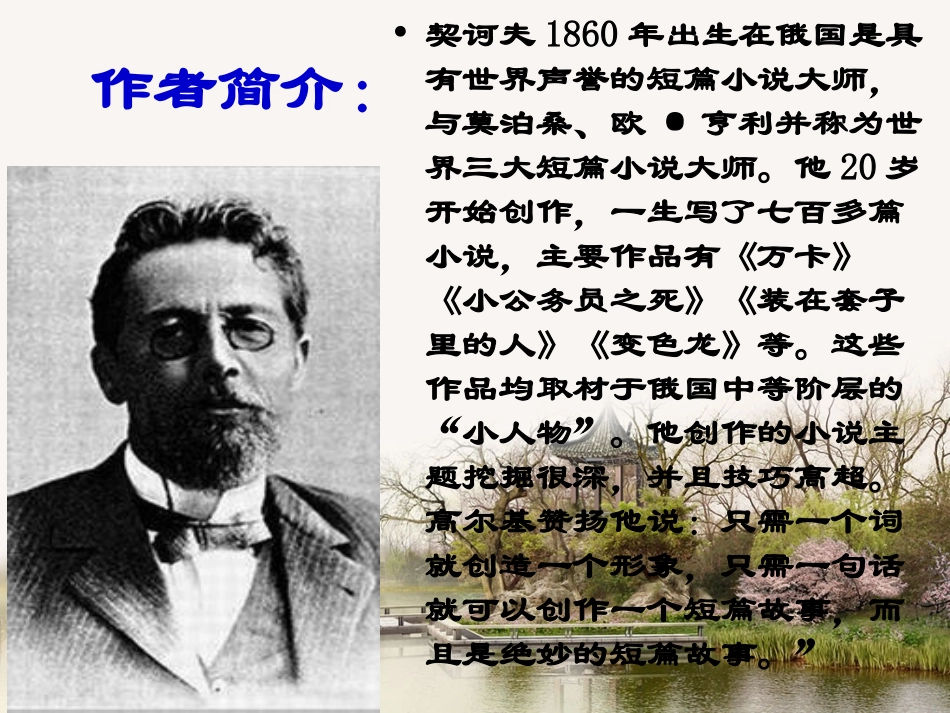变色龙--郑娟_第2页