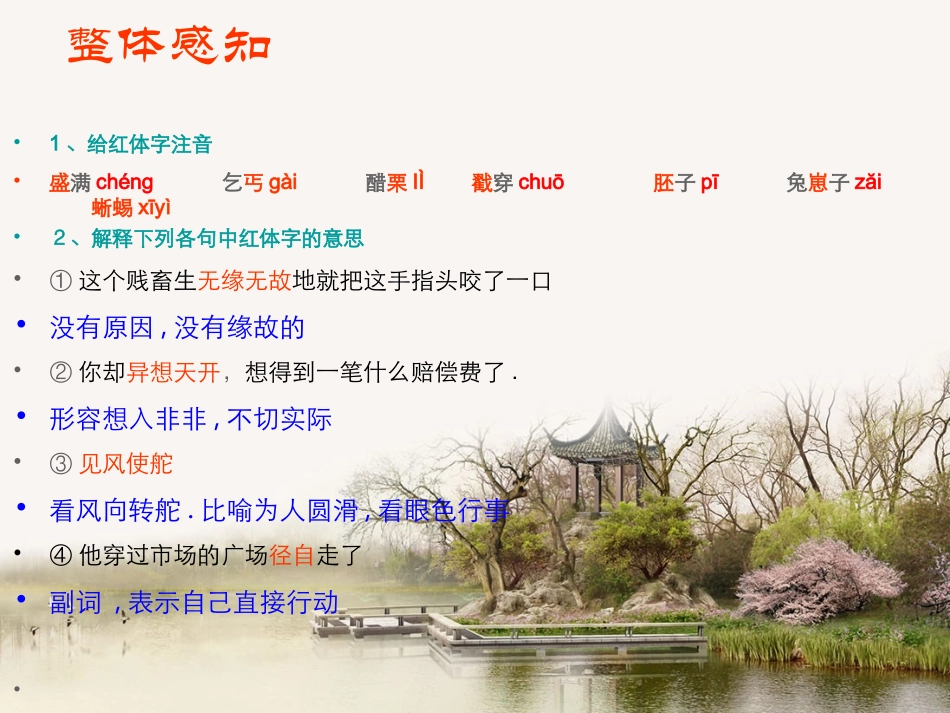 变色龙--郑娟_第3页