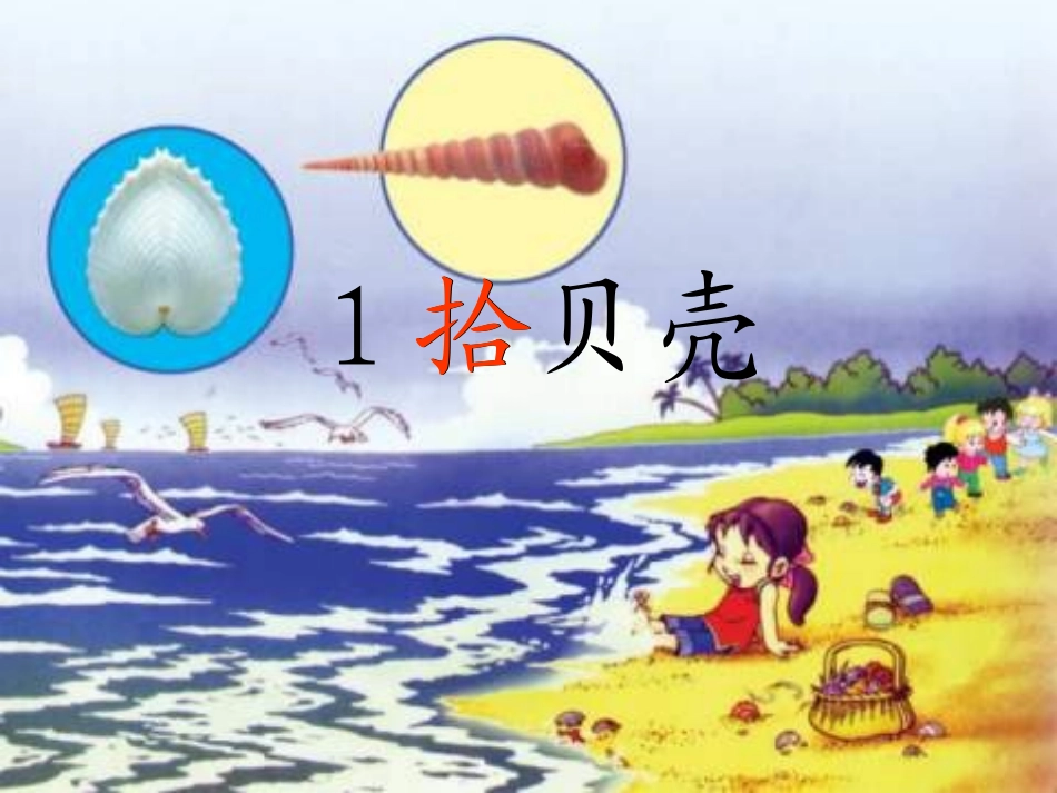 《拾贝壳》课件_第3页