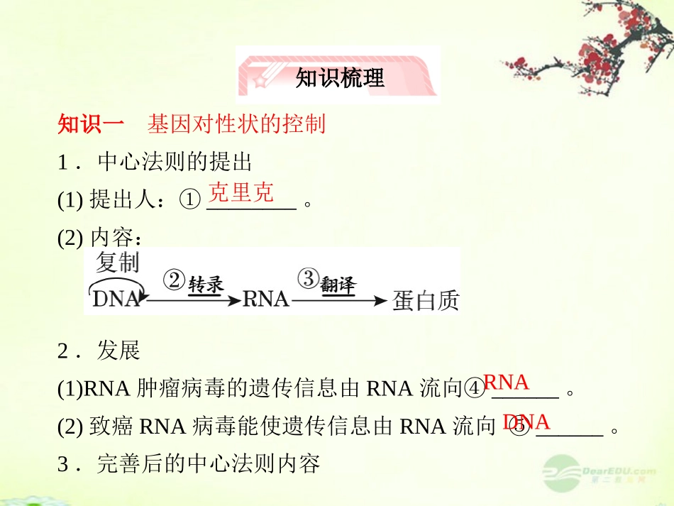 【立体设计】2013届高考生物一轮复习-第4章-基因的表达第2讲课件-新人教版必修2_第3页