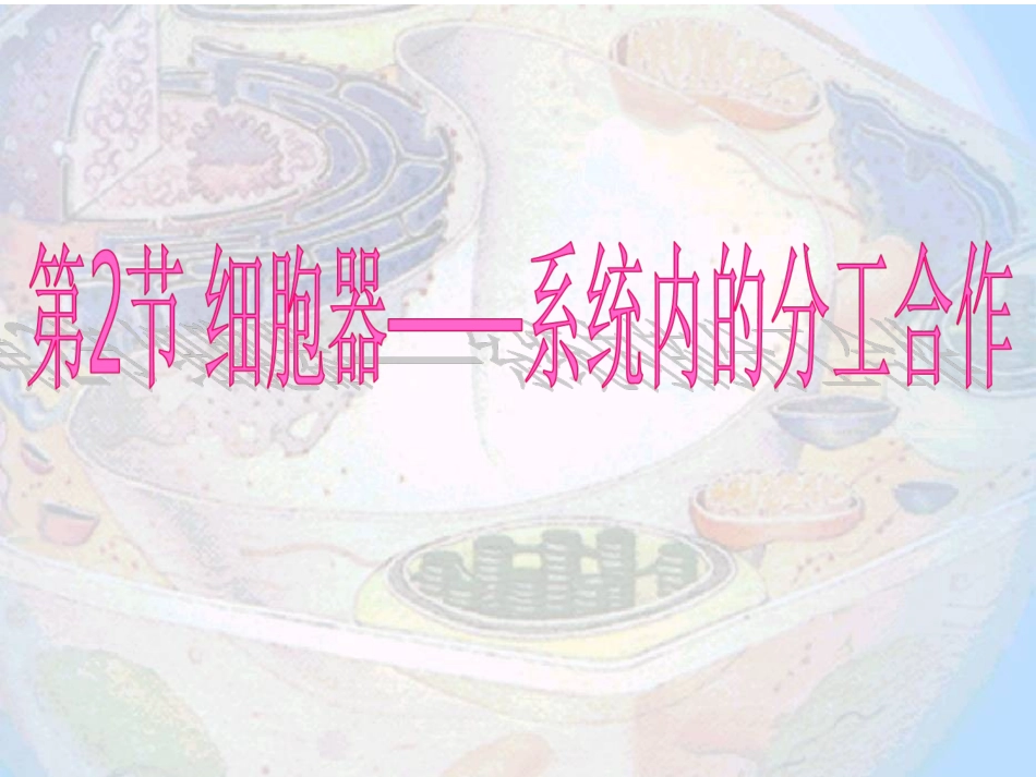 第三章-第二节-《细胞器──系统内的分工合作》_第1页