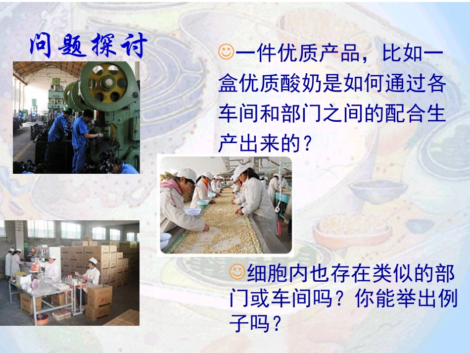 第三章-第二节-《细胞器──系统内的分工合作》_第3页