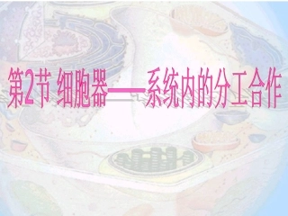 第三章-第二节-《细胞器──系统内的分工合作》