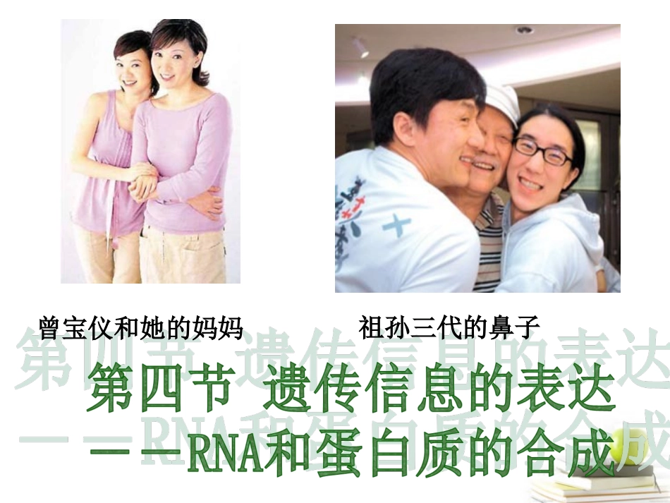 浙江省温州市啸秋中学2011-2012学年生物-遗传信息的表达课件_第2页