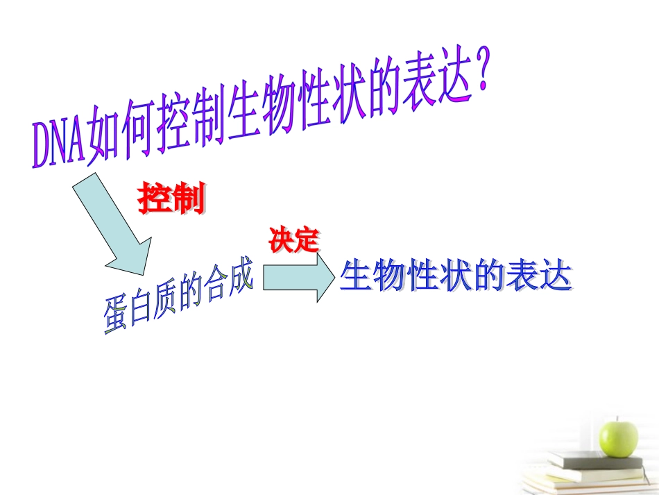 浙江省温州市啸秋中学2011-2012学年生物-遗传信息的表达课件_第3页