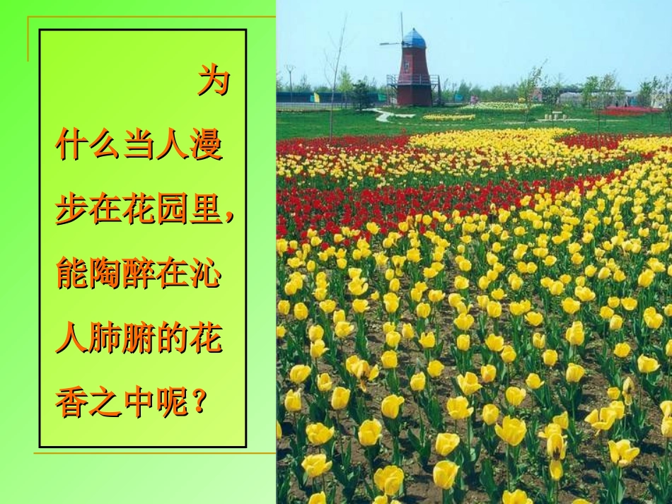 初中化学《分子和原子》PPT课件_第3页