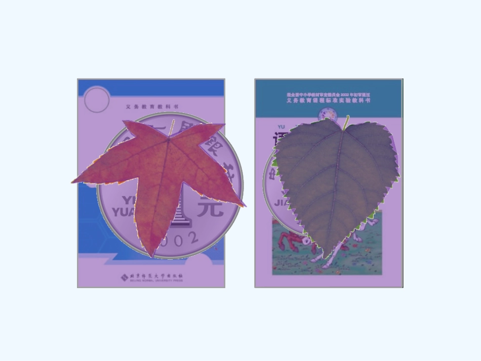 小学数学北师大2011课标版三年级三年级数学下册第五单元《面积》第一课《什么是面积》_第2页