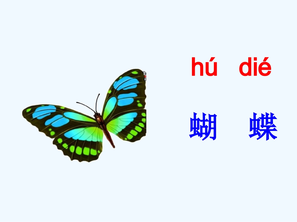 (部编)人教语文2011课标版一年级下册《动物儿歌》教学课件一课时_第3页