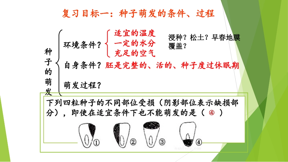 第六节被子植物_第2页