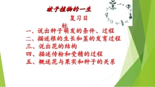 第六节被子植物