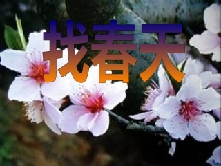 11《找春天》ppt课件【24页】