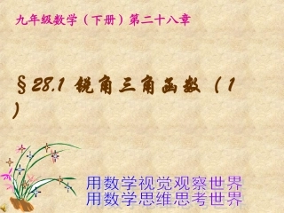 特殊角的三角函数值及用计算器求角的三角函数值