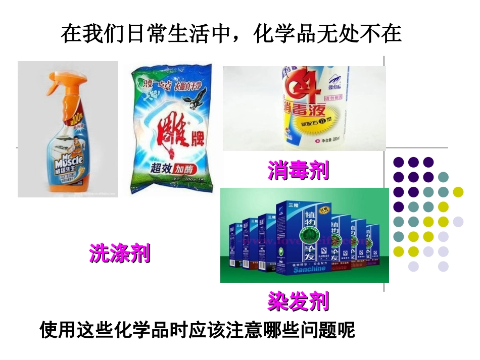 第四单元化学品的安全使用-(2)_第2页