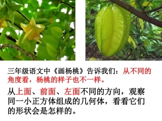 小学数学2011版本小学四年级观察物体(二)-(2)