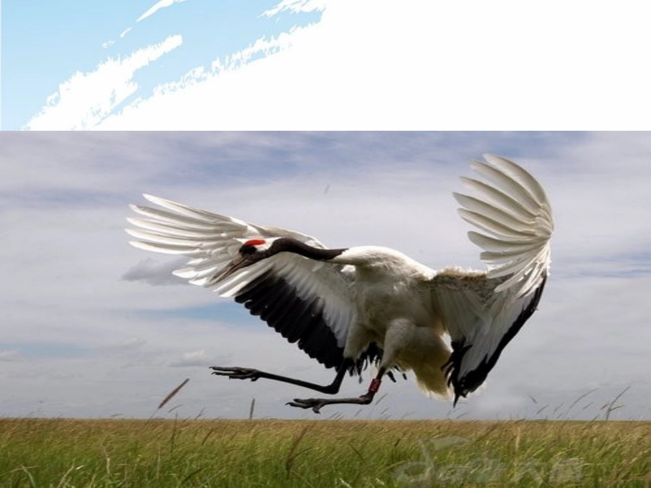 浙江省慈溪市横河初级中学八年级数学上册-1.2第二节平行线的判定课件(1)_第1页