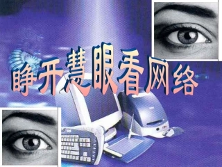 睁开慧眼看网络