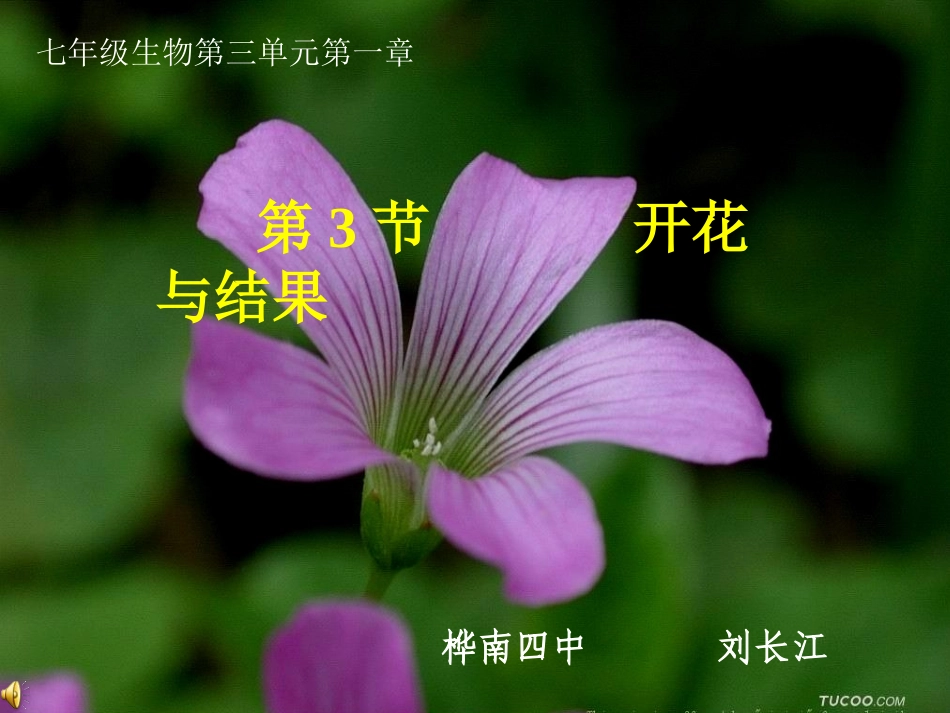 第三节：开花和结果_第1页