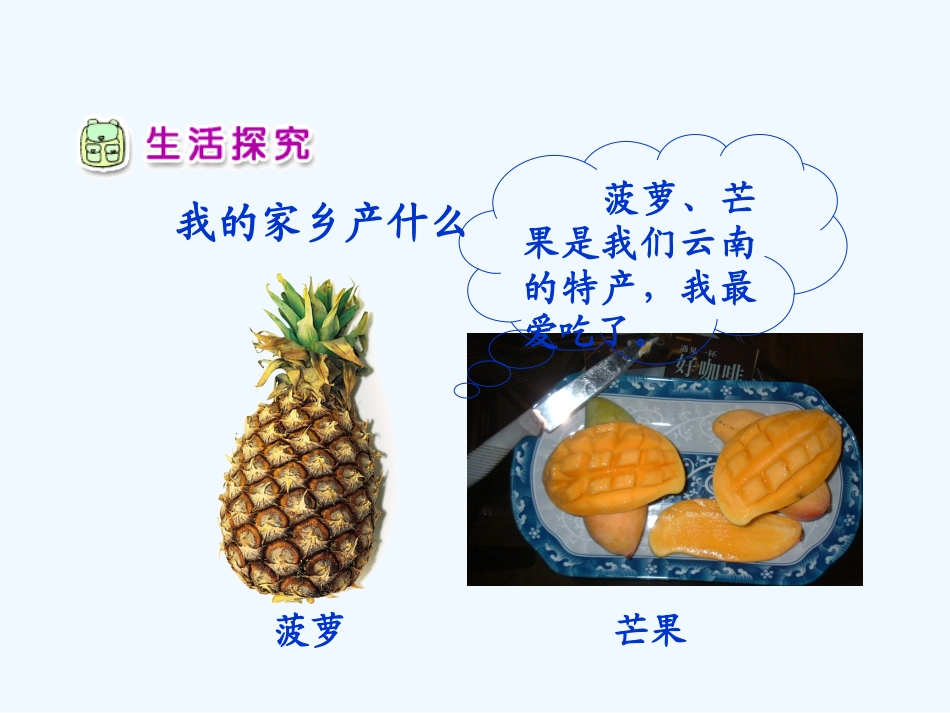 2家乡的物产多又多_第3页