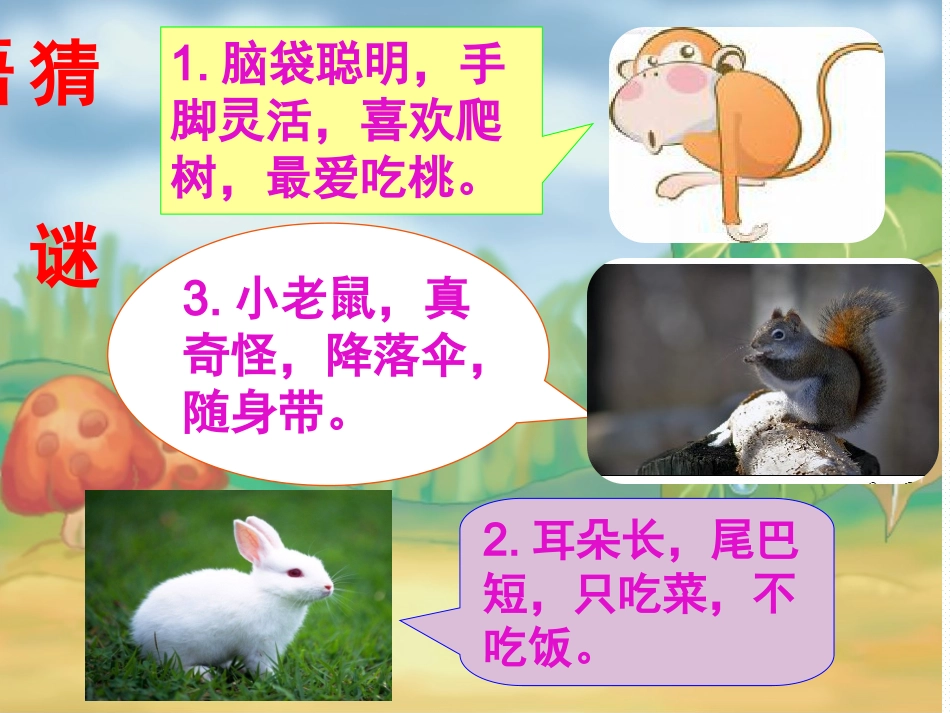 冯丽比尾巴课件_第1页