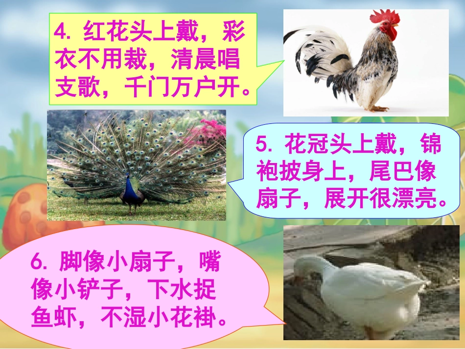 冯丽比尾巴课件_第2页
