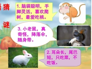 冯丽比尾巴课件