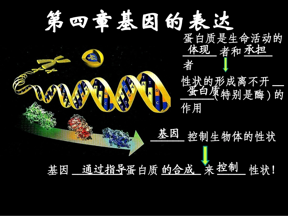 吉林省松原市扶余县第一中学高中生物-第4章《基因的表达》课件-新人教版必修2_第1页