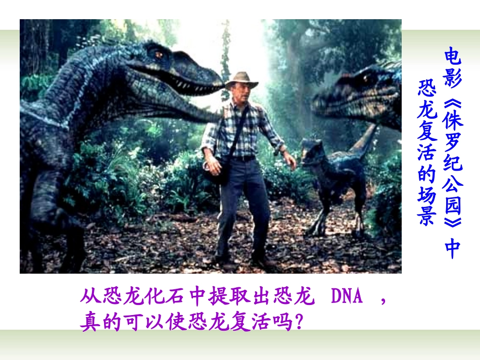 吉林省松原市扶余县第一中学高中生物-第4章《基因的表达》课件-新人教版必修2_第2页