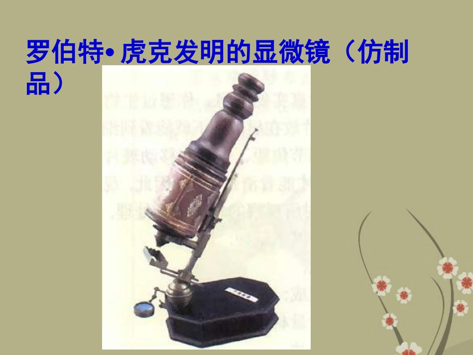 广州市白云区汇侨中学七年级生物上册《2.1.1练习使用显微镜》课件-新人教版_第2页