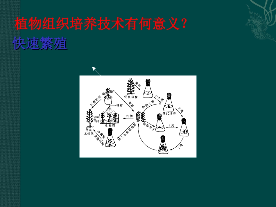 高中生物：-122-植物组织培养(课件)中图版选修3_第3页