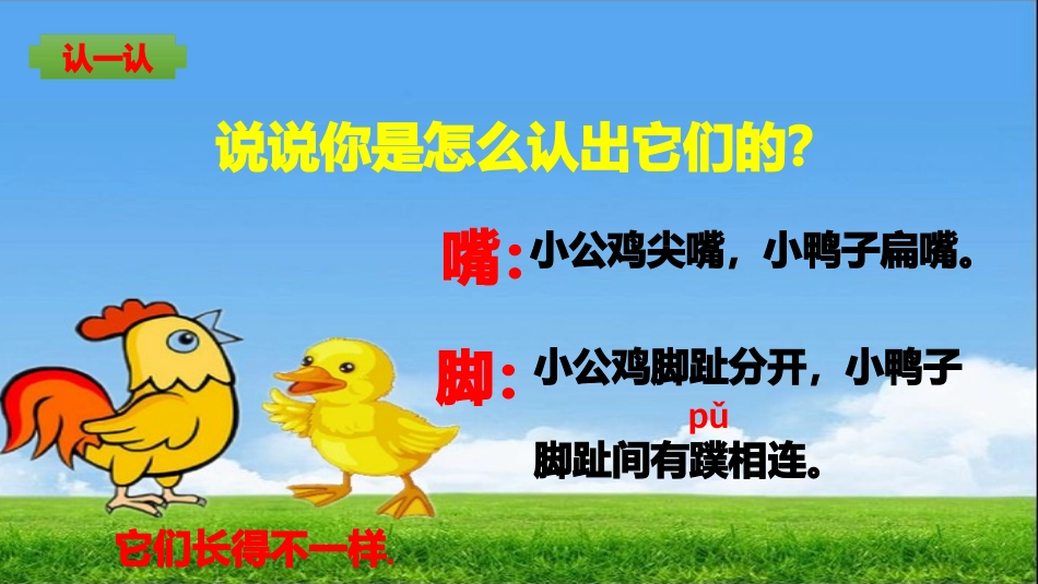 (部编)人教语文2011课标版一年级下册《小公鸡和小鸭子》课件_第2页