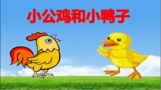 (部编)人教语文2011课标版一年级下册《小公鸡和小鸭子》课件