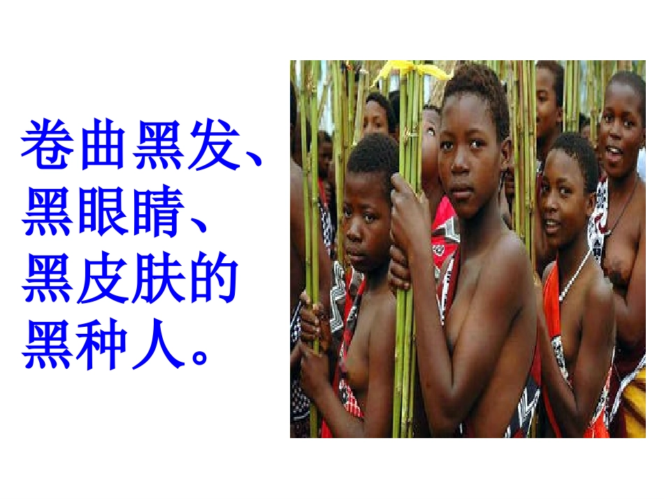 《最美的花束》课件4_第3页