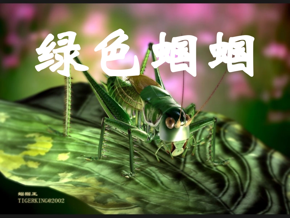 七年级语文上册《绿色蝈蝈》课件-人教新课标版_第3页