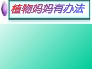 人教版小学二年级语文上册《植物妈妈有办法》课件
