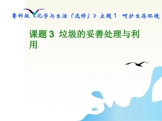 山东省2010年高中化学-专题1课题3《垃圾的妥善处理和利用》评选优质课件-鲁科版选修1