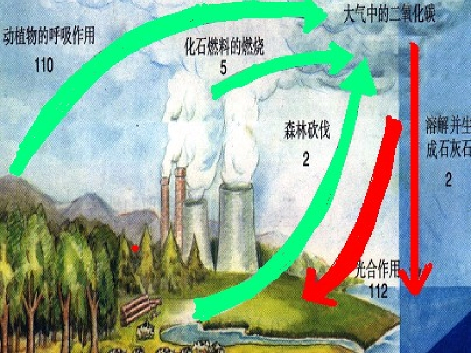 2012九年级化学-4.4大自然中的二氧化碳课件_第3页
