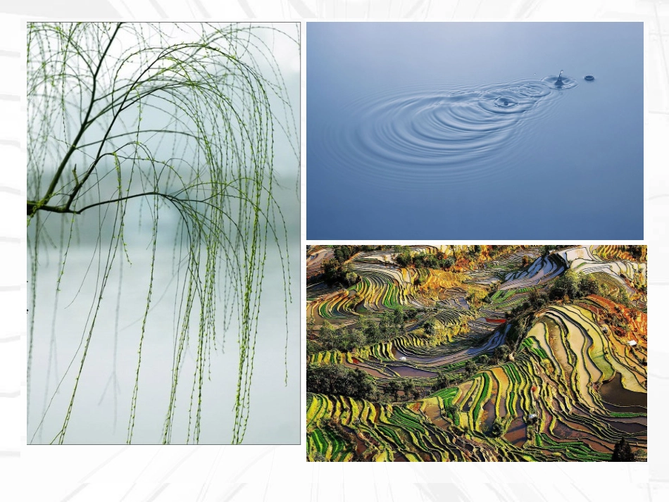 第3课-线条的魅力_第3页