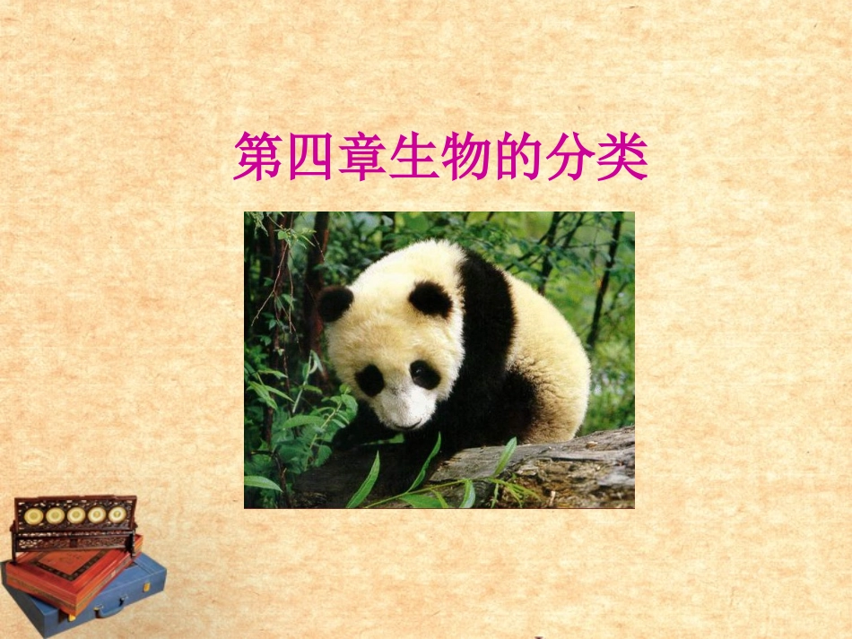 山东省东营市河口区实验学校八年级生物《第四章-生物的分类》课件-人教新课标版_第1页